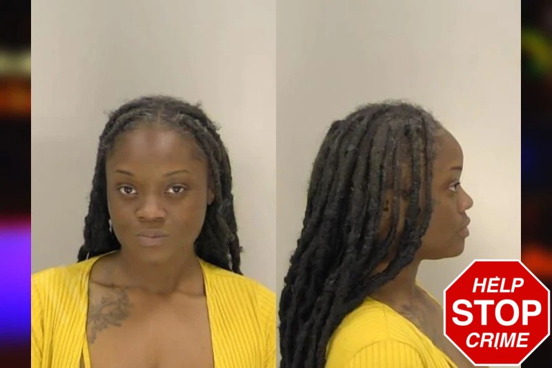 Briana Fuller Mugshots