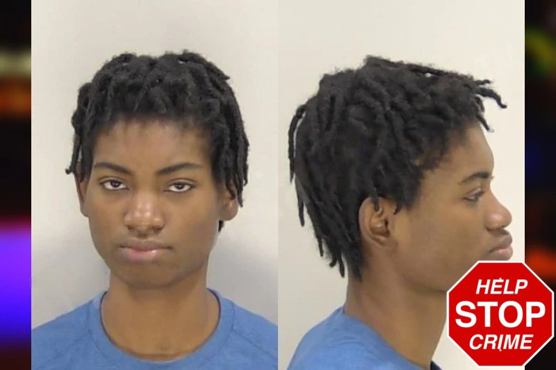 Brianna Cone Mugshots