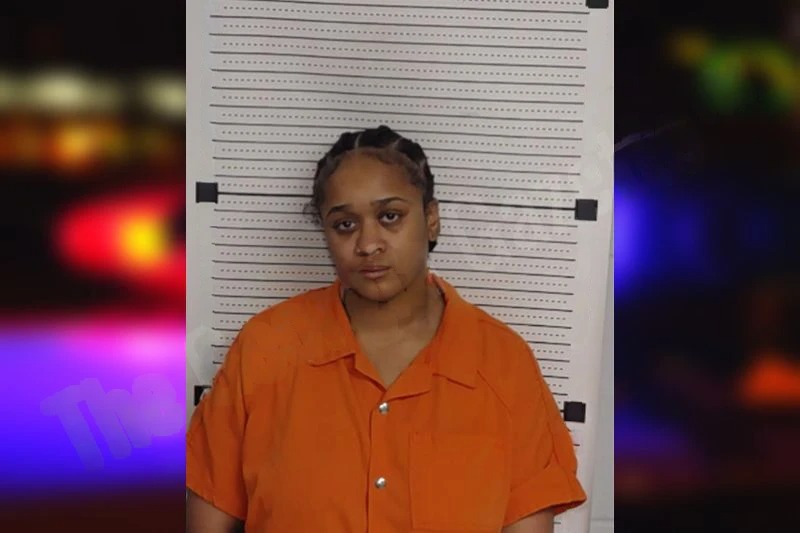 Brianna Holmes mugshot