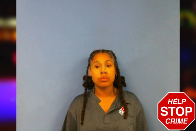 Brianna McCain Mugshots