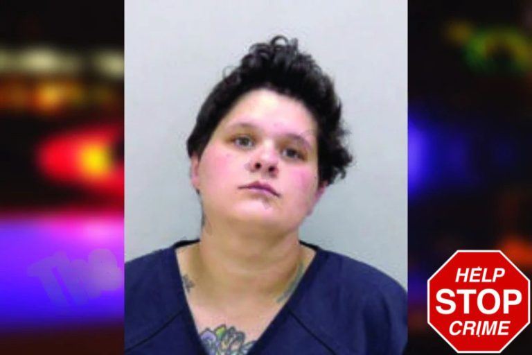 Brianna Rogers mugshot – Bartow County , Georgia Brianna Rogers