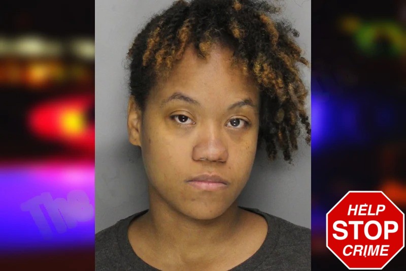 Brianna Rose mugshot – Cobb County , Georgia Brianna Rose mugshot