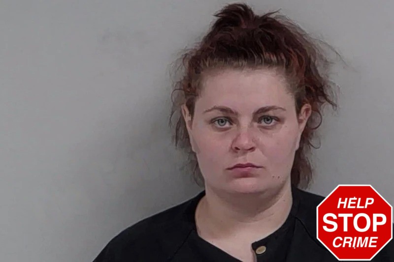 Brianna Stonebraker Mugshots