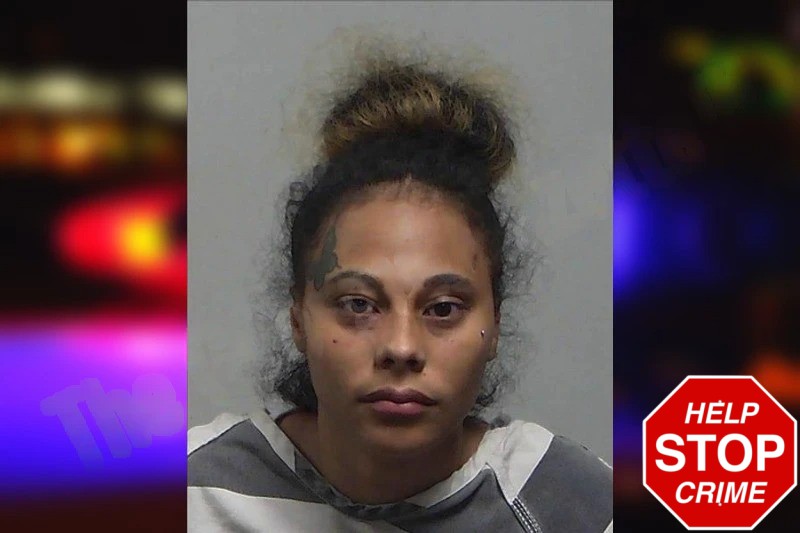 Brianna Williams Mugshots