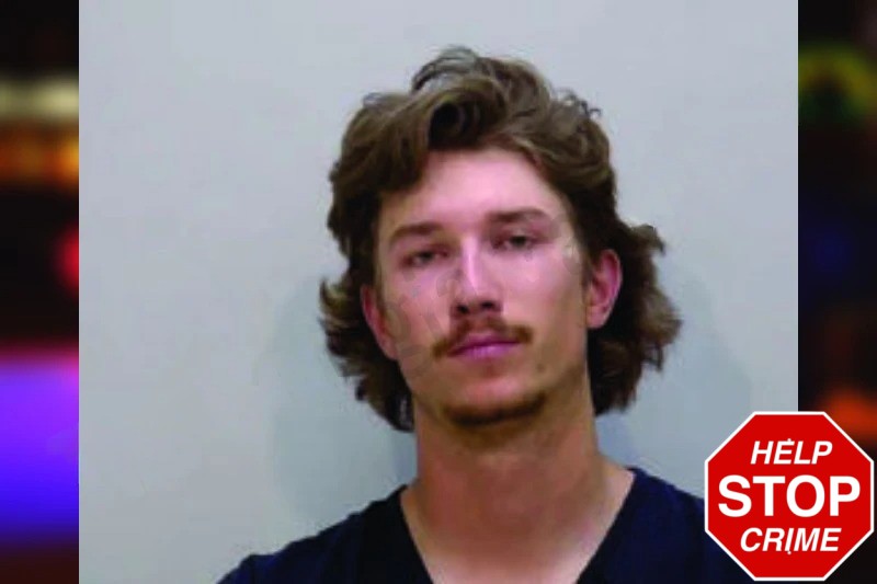 Brice Meadows Mugshots