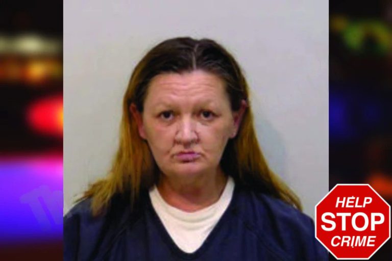 Bridget Marr mugshot – Bartow County , Georgia Bridget Marr