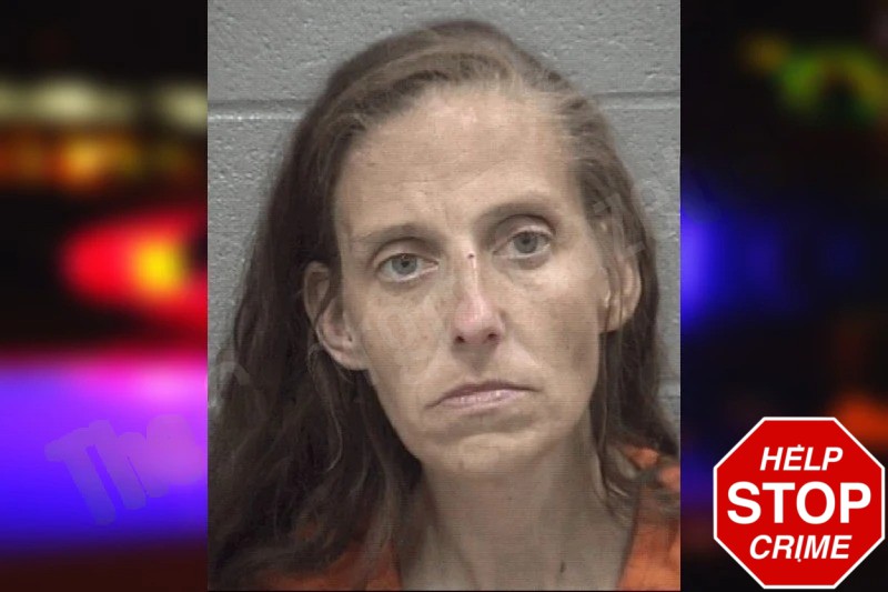 Bridgette Brewer Mugshots