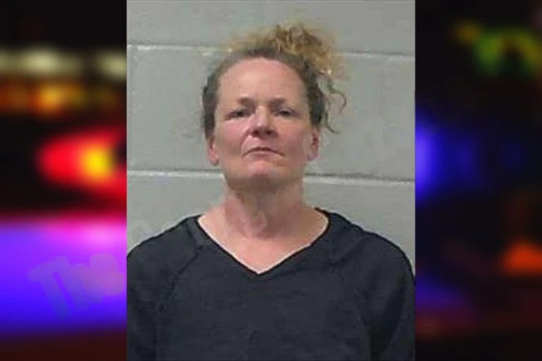 Bridgette Tebow mugshot – Gilmer County , Georgia Bridgette Tebow