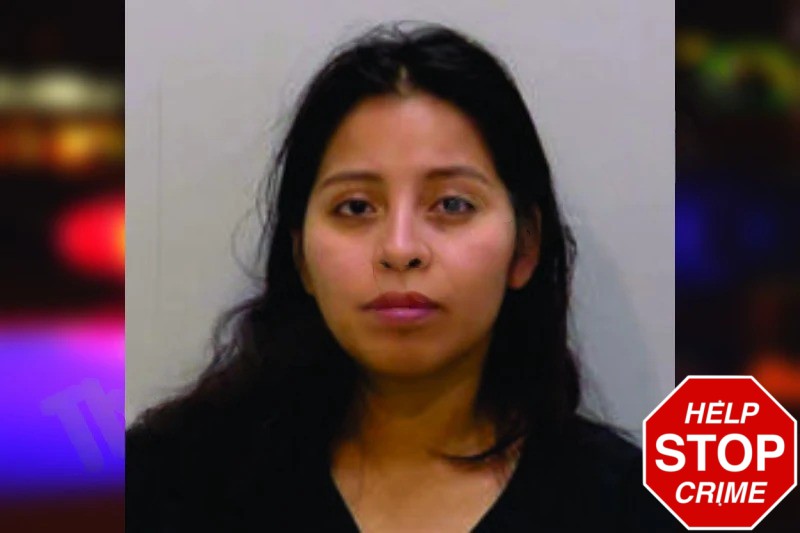 Brigida Francisco-Ferrer Mugshots