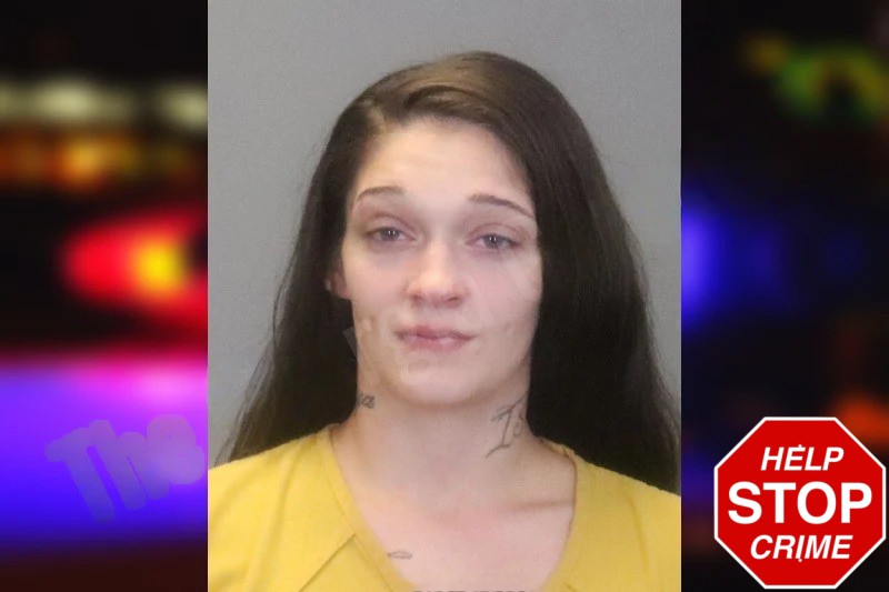 Brina Barker Mugshots