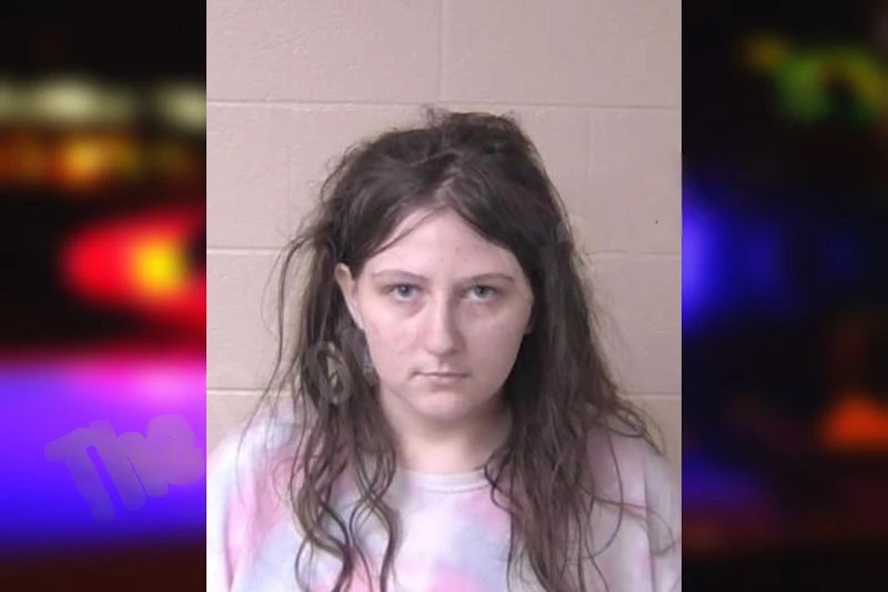 Britni Fields mugshot – Walker County , Georgia Britni Fields mugshot