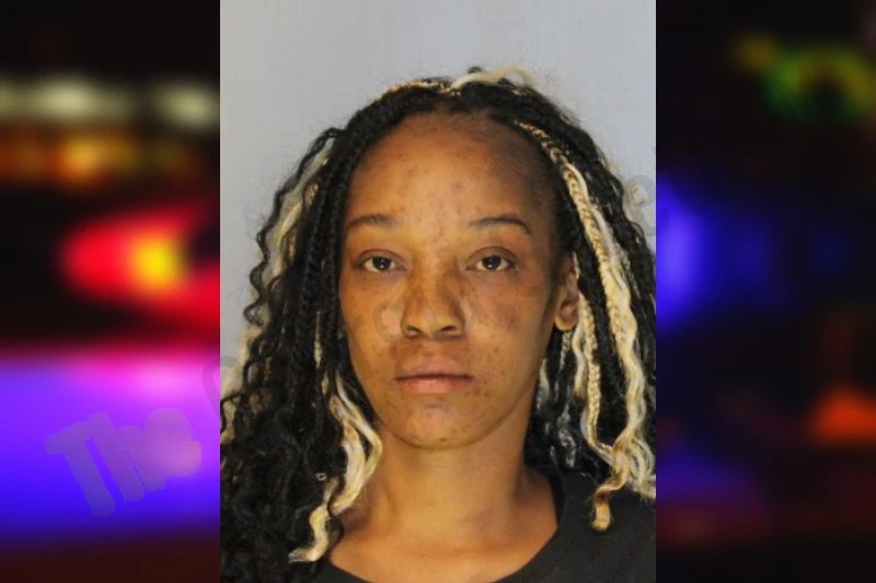 Brittani Holcomb Mugshots