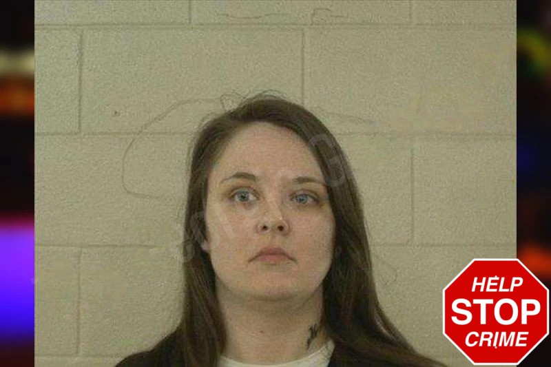 Brittanie Reagin Mugshots