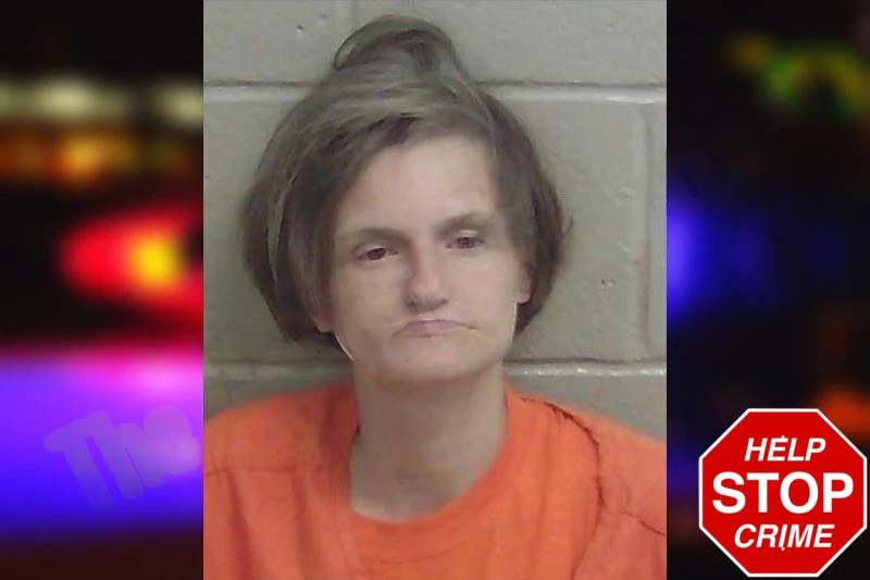 Brittany Burton Mugshots