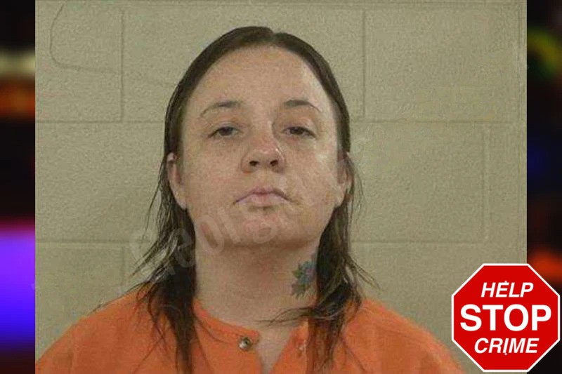 Brittany Cardona Mugshots