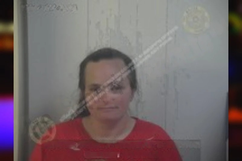 Brittany Dempsey Mugshots