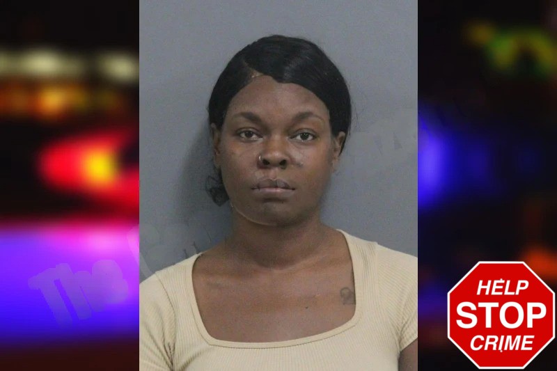 Brittany Depp Mugshots