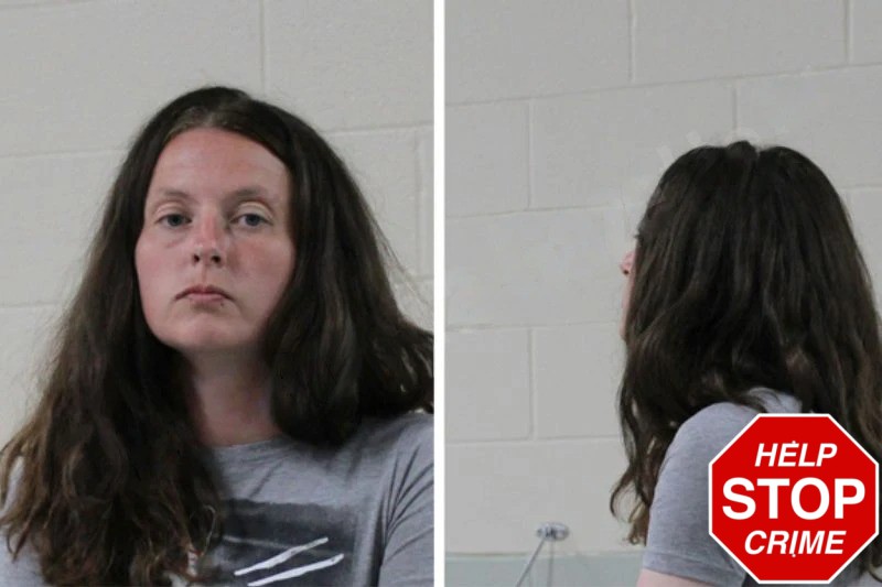 Brittany Guin Mugshots