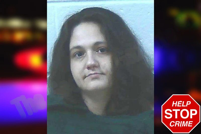 Brittany Hudson Mugshots