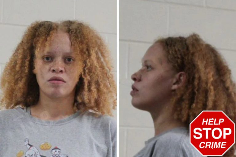Brittany Jackson mugshot – Houston County , Georgia Brittany Jackson