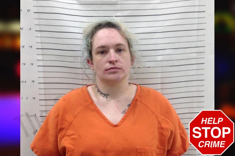 Brittany King Mugshots