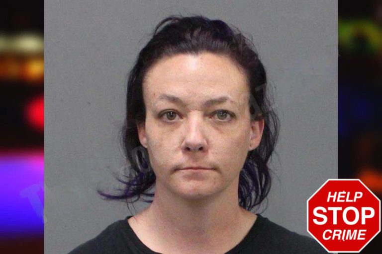 Brittany Marvin mugshot – White County , Georgia Brittany Marvin