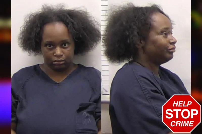 Brittany Meadows Mugshots