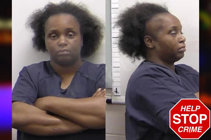 Brittany Meadows Mugshots