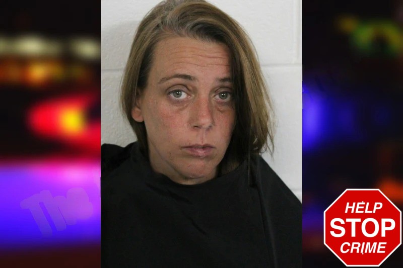 Brittany Mills Mugshots