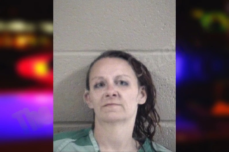 Brittany Pangle Mugshots