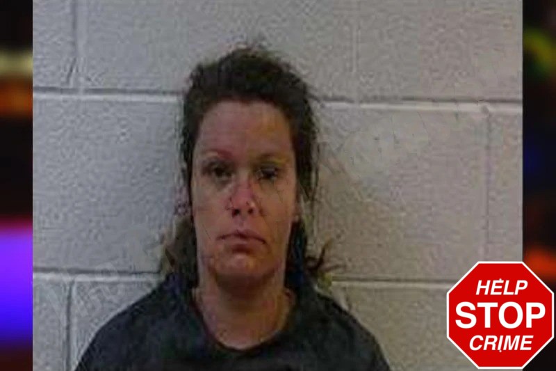 Brittany Roden mugshot – Polk County , Georgia Brittany Roden mugshot