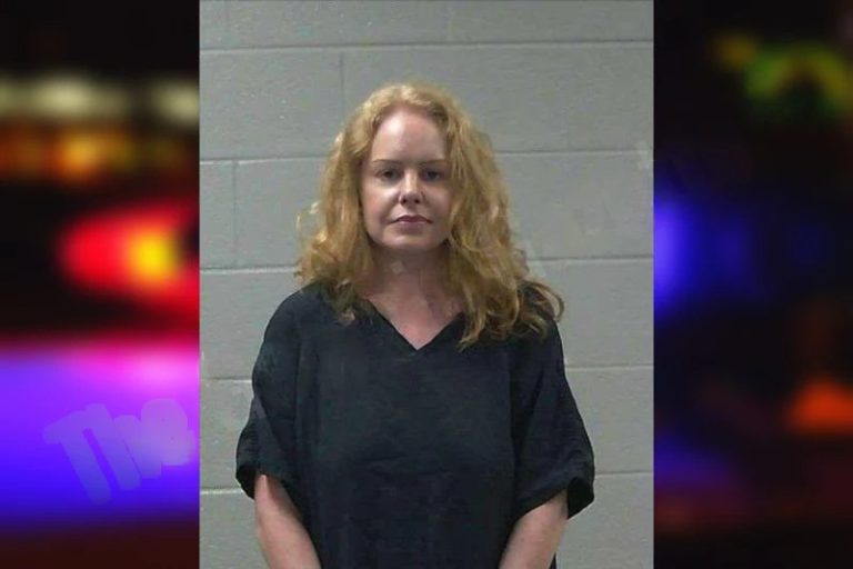 Brittany Rowe mugshot – Gilmer County , Georgia Brittany Rowe