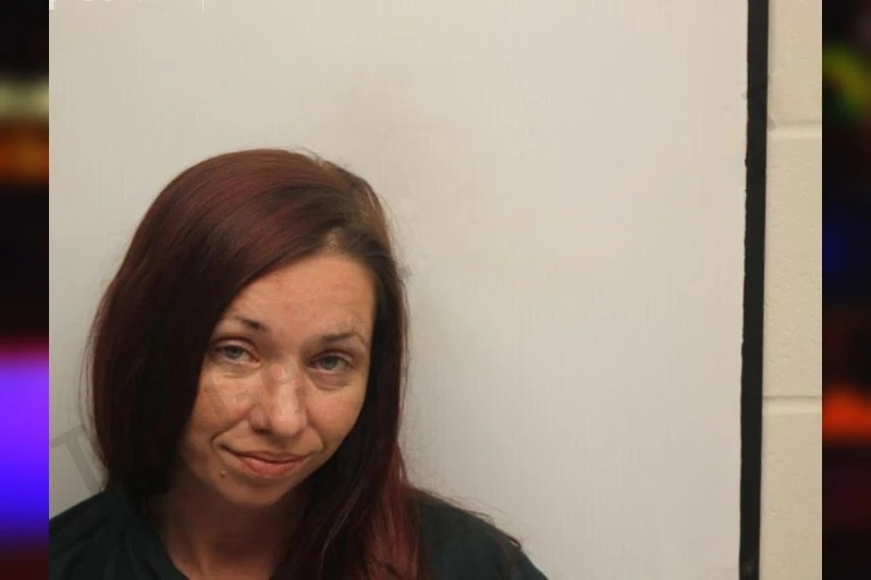 Brittany Rubio mugshot – Chatham County , Georgia Brittany Rubio mugshot