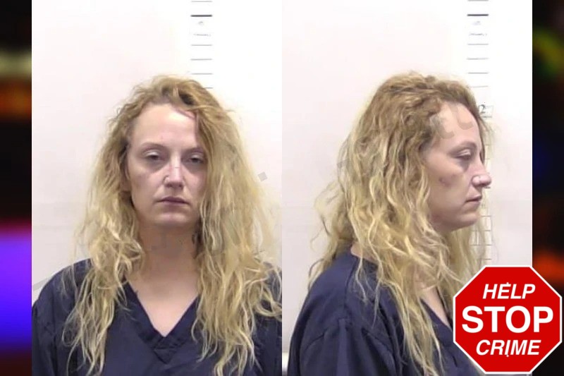 Brittany Thornhill Mugshots