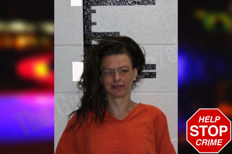 Brittany Williams mugshot – Murray County , Georgia Brittany Williams