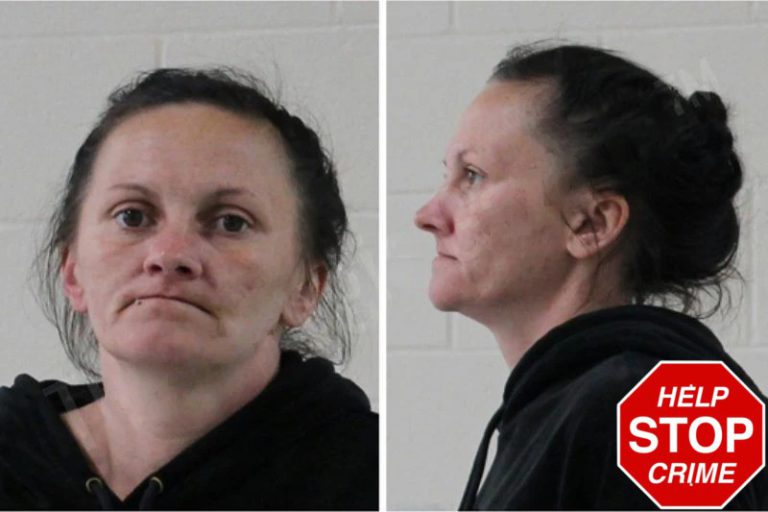 Brittney Rhinehart mugshot – Houston County , Georgia Brittney Rhinehart