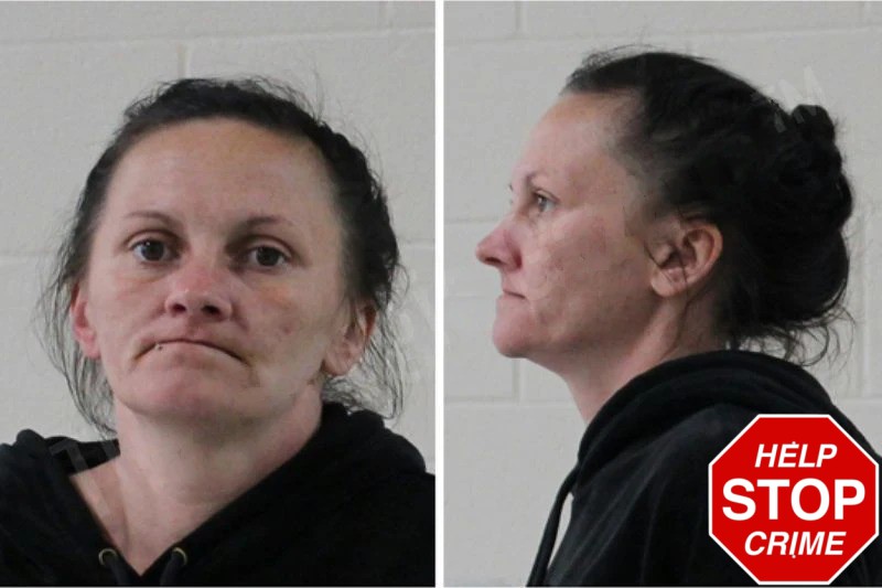 Brittney Rhinehart Mugshots