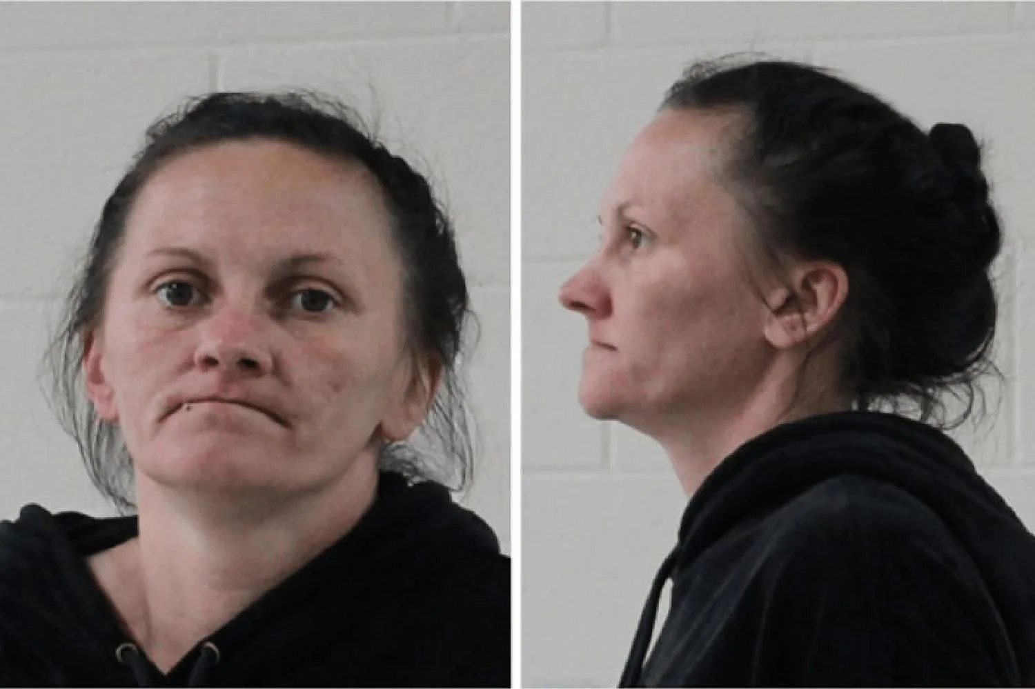 Brittney Rhinehart mugshot