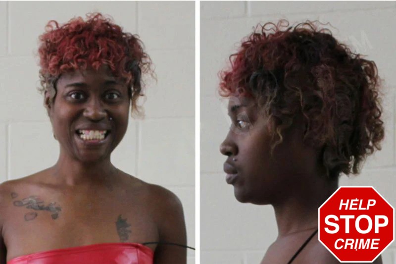 Brittney Robinson Mugshots