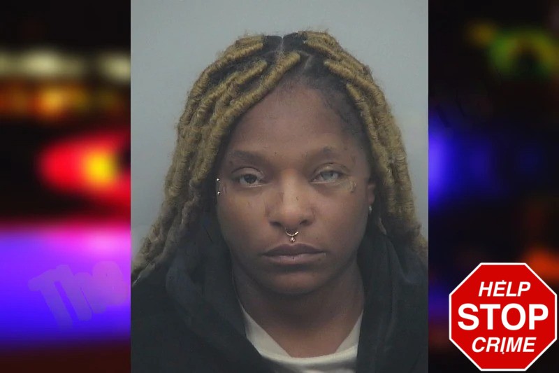 Brittni Williams Mugshots