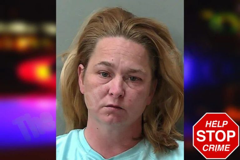 Brook Kennard mugshot – Towns County , Georgia Brook Kennard