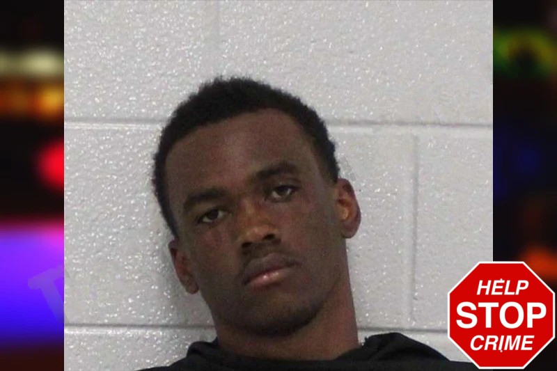 Bryce Johnson Mugshots