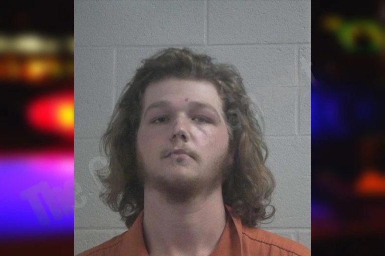 Brysin Noggle mugshot – McDuffie County , Georgia Brysin Noggle