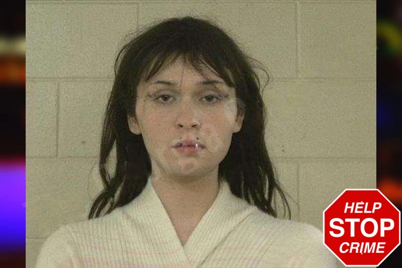 Bryson Young Mugshots