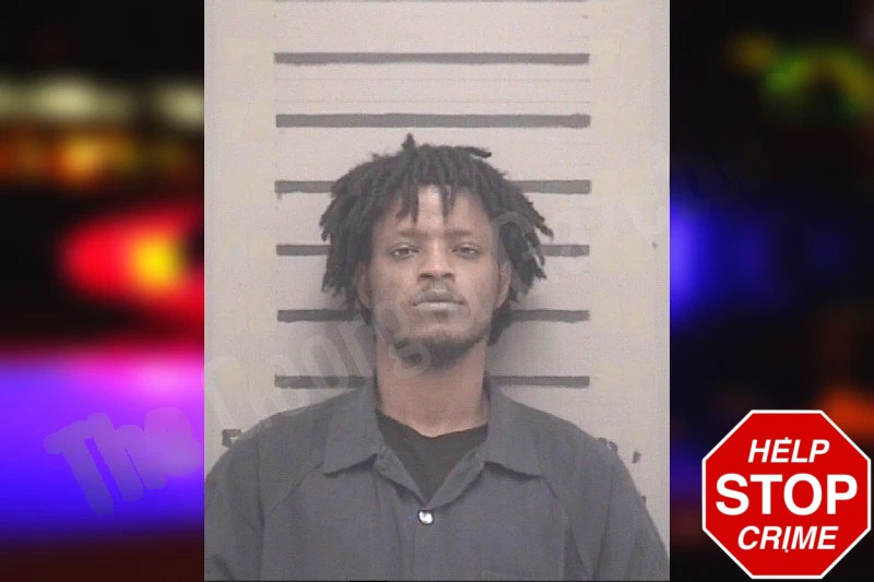 Cameron Hammonds Mugshots