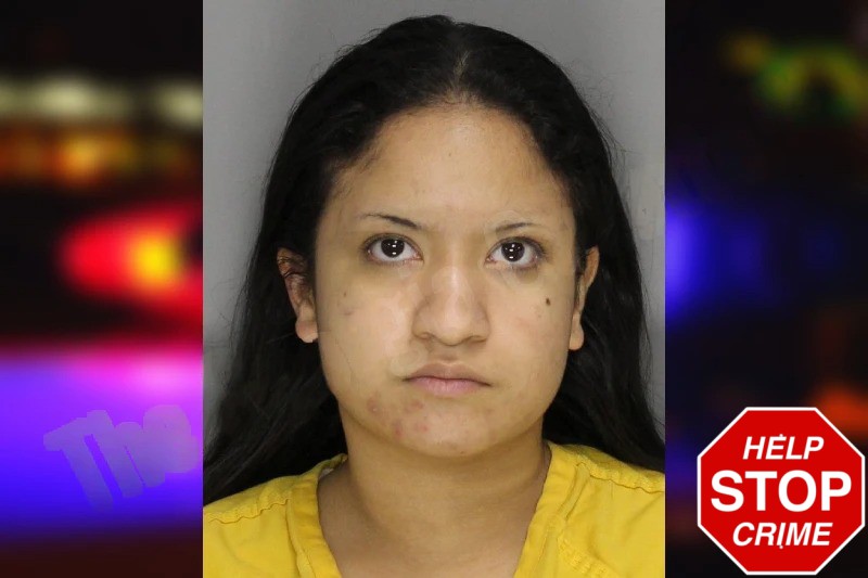 Camila Bonilla Mugshots