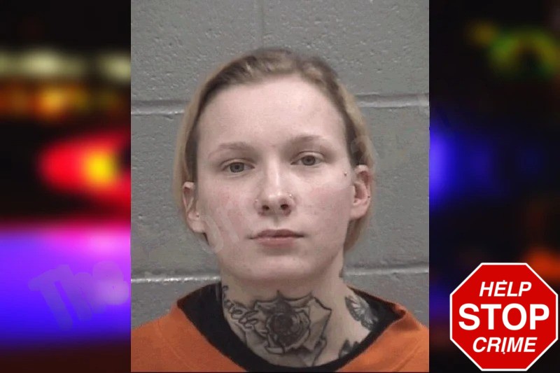 Camrie White Mugshots