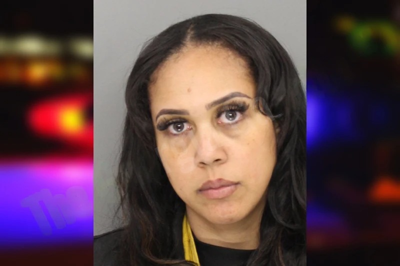 Candace Johnson mugshot – Cobb County , Georgia Candace Johnson mugshot