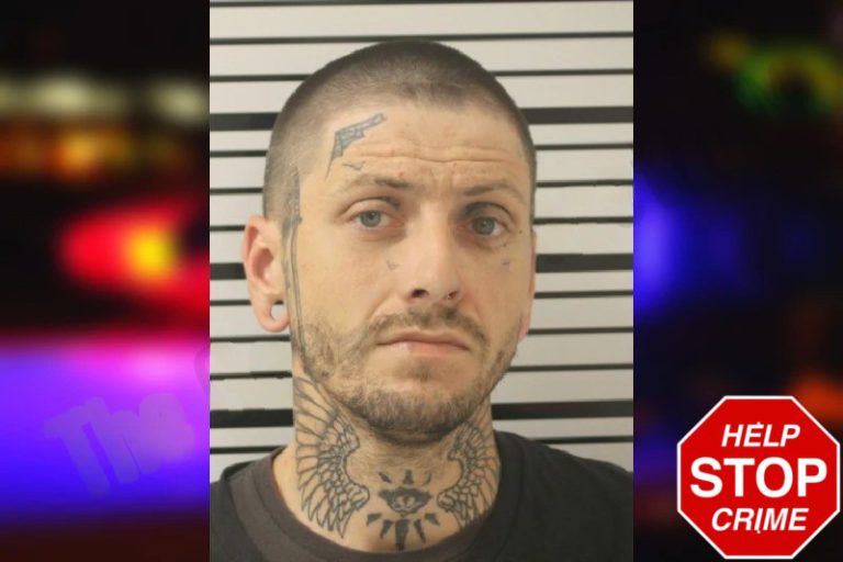 Cannie Davis mugshot – Toombs County , Georgia Cannie Davis