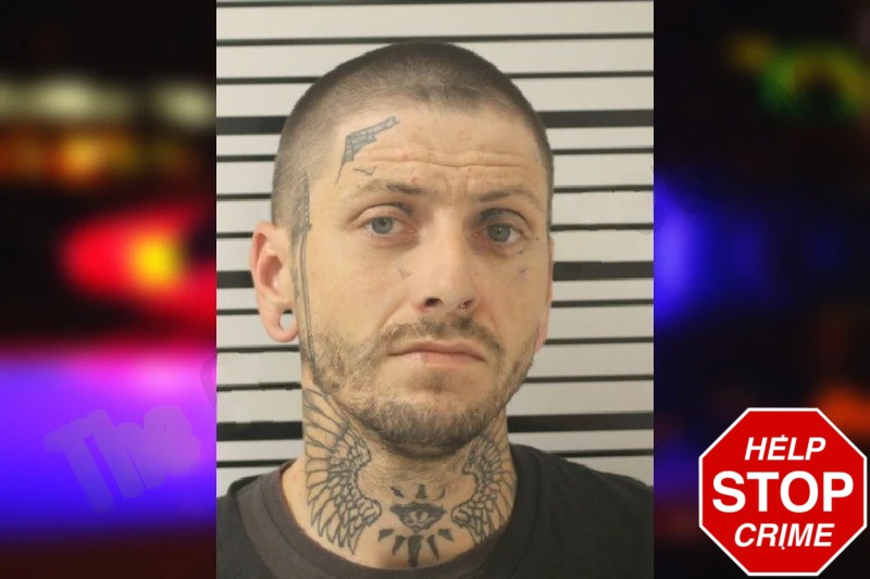 Cannie Davis Mugshots